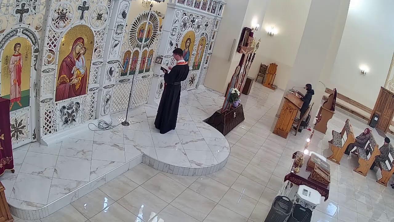 Трансляція