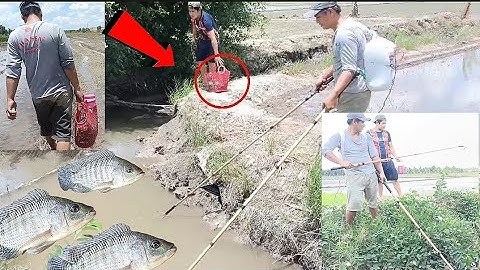 Đi Chích Cá Gặp Ngay Bầy Cá Khủng Vớt Mỏi Tay | Go Fishing, Meet The Flock Of Fish That Gets Tired