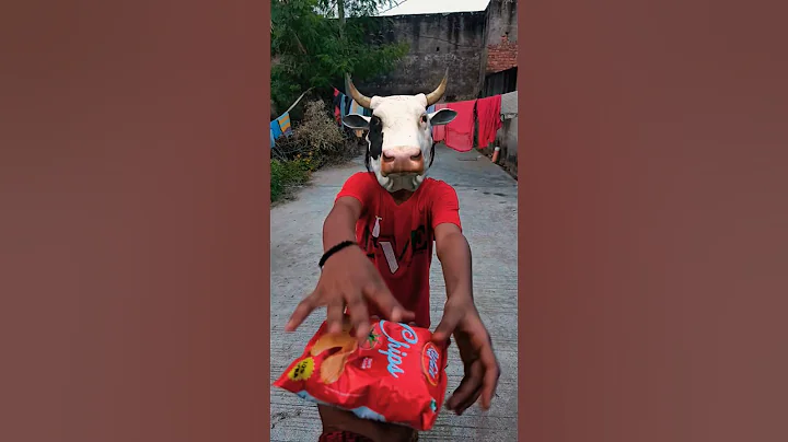 Sare Bolo happy birthday caw🤣😃 caw face🤣😜 #shorts #funny #trending #viral