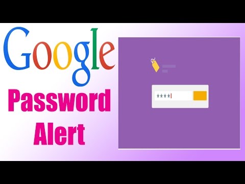 Videó: Kutyairatok az informatikai iparban: Google vs. Microsoft - Working Paper