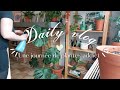 Une journe de plantes addict  daily vlog 6