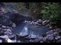 Cougar Terwilliger Hot Springs - Oregon Cascades