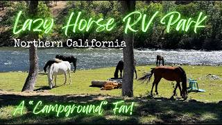 Lazy Horse RV Park / Wild Horses & The Klamath River / Northern California / A Campground Fav!