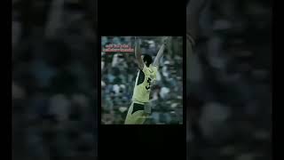 AUSTRALIA will rise again with great come back