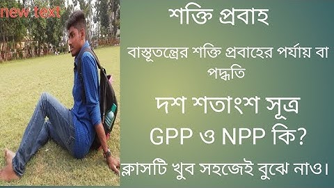 বাস্তূতন্ত্রের শক্তি প্রবাহ (Energy follow in Ecosystem)