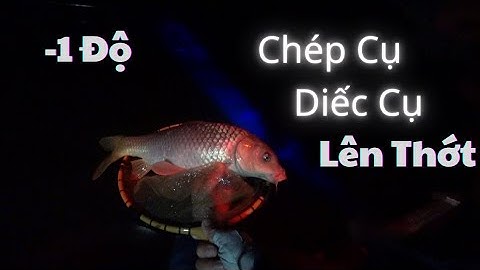 Trời Lạnh -1 Độ Chép Cụ Diếc Cụ Lên Thớt l U Đông Set Thực Chiến