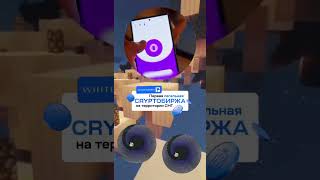 Самая быстрая BMW Компания BMW представила самую быструю серийную машину #кружки #юмор #shorts