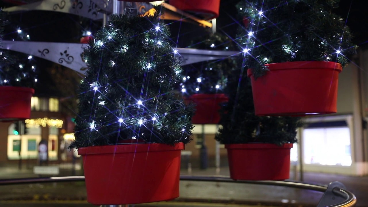 Solar Christmas Trees by Plantscape Derbyshire UK YouTube