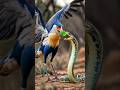 A secretary bird engages in a fierce battle against a venomous snake in the open field 😱🪱🦅