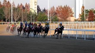 Olympus E PM2 Full HD Sample