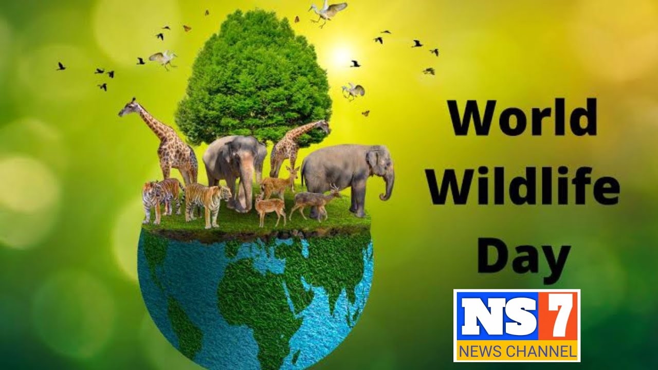 World Wildlife Day | Ensuring protection of our forests and safe habitats  for animals.. - YouTube