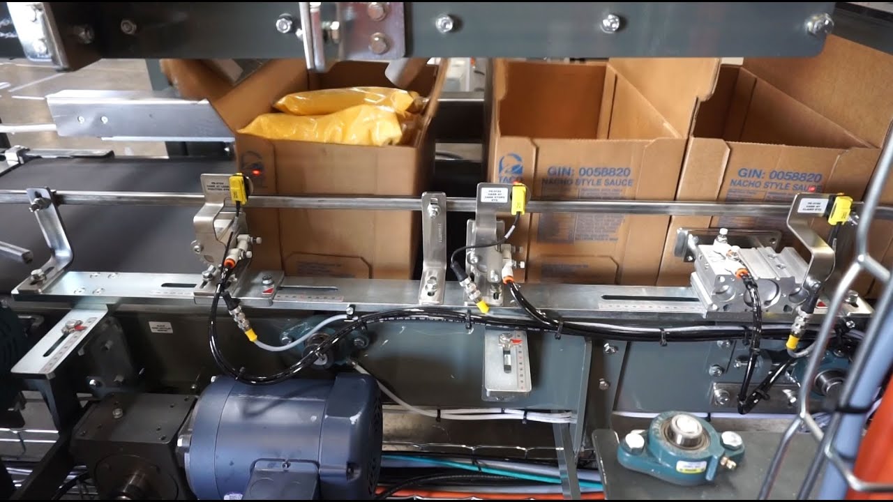 DL 25 Top Load Case Packer - Bags of Liquid Cheese