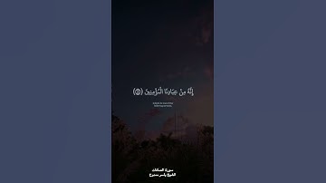 سلام على نوح في العالمين #القرآن_الكريم #سورة_الصافات #ياسر_ممدوح #quran #subhanallah #islam #short