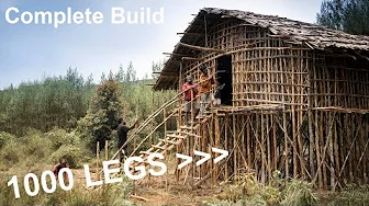 Amazing Millipede House of West Papua - Built from the Forests - Rumah Kaki Seribu