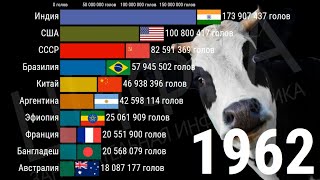 ТОП-10 стран мира по количеству рогатого скота (1961-2019) [ИНФОГРАФИКА]