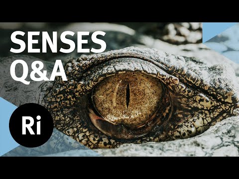 Q&A: The hidden world of animal senses – with Ed Yong - Q&A: The hidden world of animal senses – with Ed Yong