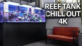 720L REEF TANK - REEF RELAX 4K by Reef Relax 10,374 views 1 year ago 10 minutes, 2 seconds