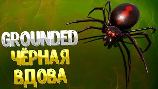 Grounded ➤  КАК ПОЛУЧИТЬ КИНЖАЛ 3 УРОВНЯ / КИНЖАЛ ВДОВЫ / ВСЕ ЧЁРНЫЕ ВДОВЫ / BLACK WIDOW