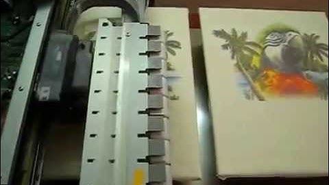 A2 Demo(1): Epson 3880 DTG, Dual Platen T-shirt printing, automatic control