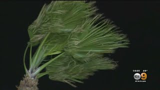 Winds Expected To Pick Up Overnight In Inland Empire