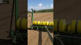 Ih 1466 and 1066 planting seed corn..