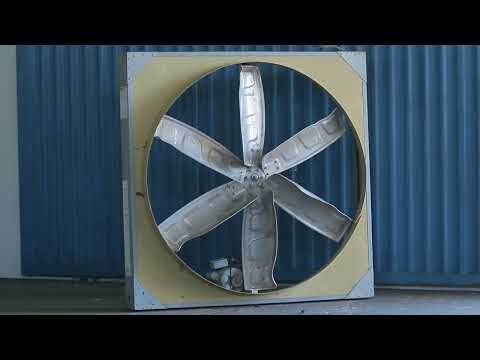 LOTE CA-013 - 4 VENTILADORES 2CV MBRASIL