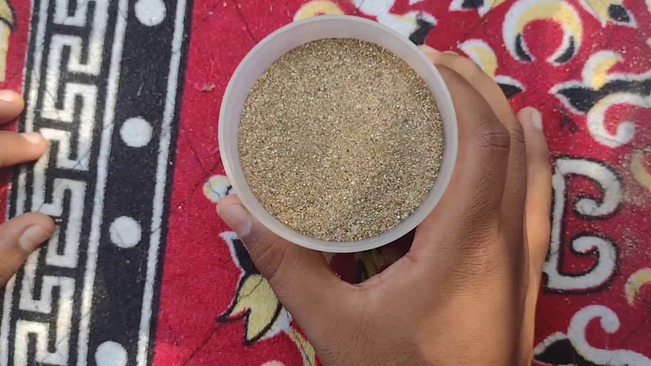 Science Experiment 7 Measure Density of sand and sawdust YouTube