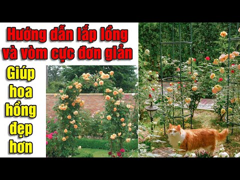Video: Vòm Hoa Hồng Tự Làm: Dành Cho Hoa Hồng Leo Và Leo, Cách Làm Vòm Từ Phụ Kiện, ống Nhựa Và Kim Loại Trong Vườn