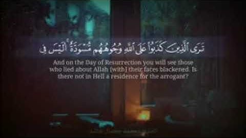 دقائق من الطمأنينة ♥️ القارئ محمد كمال هاشم 🌹