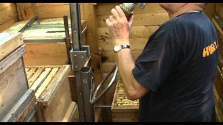 Celebrity At the Beekeeper Wealth