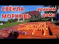 Как хранить дома свёклу и морковь.