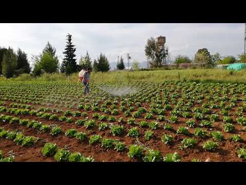 KAAN BENZİNLİ İLAÇLAMA
