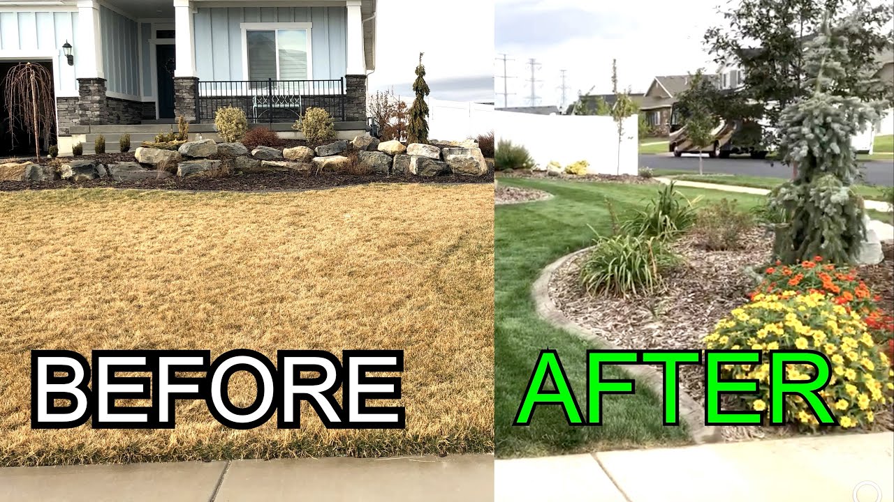 Spring Pictures Of Lawn | How Should I Renovate My Lawn | Mail Time