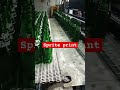 Sprite layer ke andar 🥤