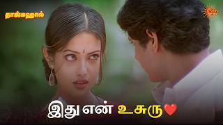 இது என் உசுரு❤️| Taj Mahal Movie Scene | Manoj Bharathiraja | Riya Sen | Sun Life