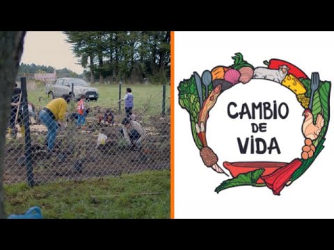 Jardín Nativo: un