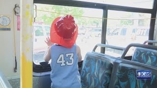 Touch a Truck in Chapel Hill