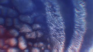 BoyWithUke - Petrichor (Broken's Version) [Visualizer]