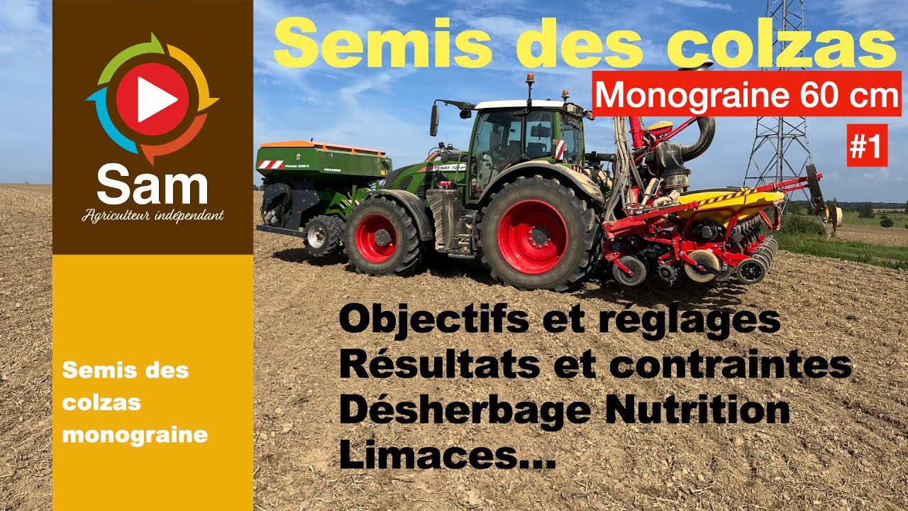 Semis des colzas avec semoir monograine écartement 60 cm. Objectifs, réglages, localisation, limaces