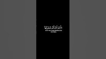 أفرأيتم النار التي تورون || يوتيوب #ياسر_الدوسري #سورة_الواقعة #قرآن #quran #ramadan #youtube #like