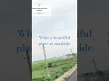 #Enjoying roadside beauty#video #funny #roadside#road#vlog#blog