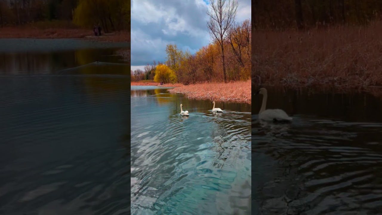 Milliken Park ( Lake ☺️ )