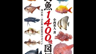 【紹介】釣魚1400種図鑑 海水魚・淡水魚完全見分けガイド （小西 英人）