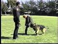Gr8K94U Elite Dog Training Gr8K94U Elite Dog Training