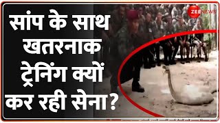 सांप के साथ सेना की खतरनाक ट्रेनिंग | Indian Army Snake | Cobra Training Video | Thailand Hindi News screenshot 3