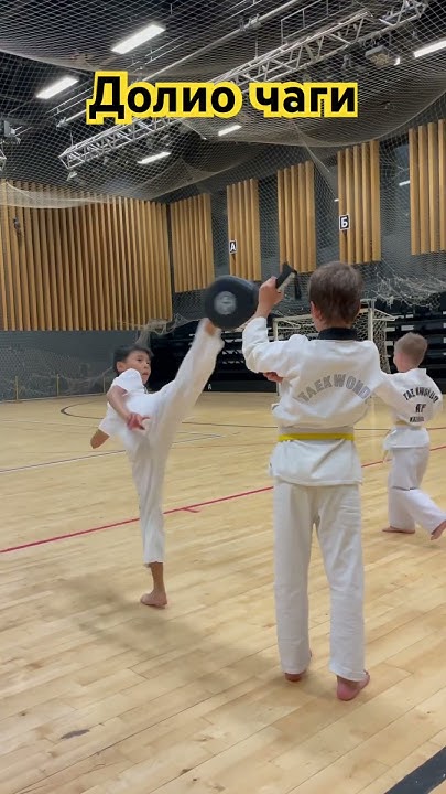 Долио чаги | удары ногами | таэквондо #taekwondo #kick #рек #таеквондо ...