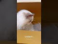 客戶分享