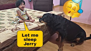 My Dog Making fun of my baby | funny dogvideos | cute dogs |@snappygirls02