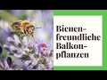 Bienenfreundliche Balkonpflanzen - 20 beliebte Pflanzen in der Übersicht
