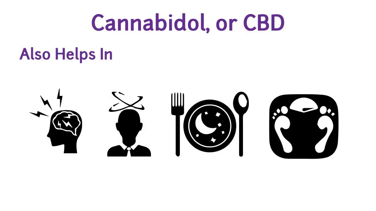 Fred Melius - Video 2